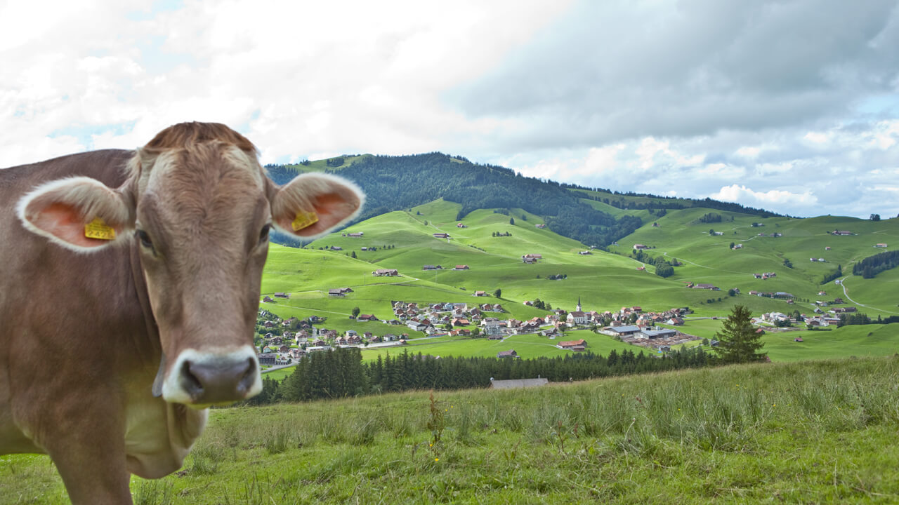 adart_baerengonten_impression_12