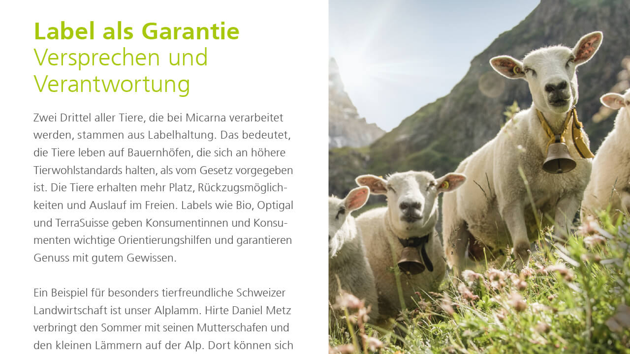 adart_micarna_faktenundzahlen_2017_2