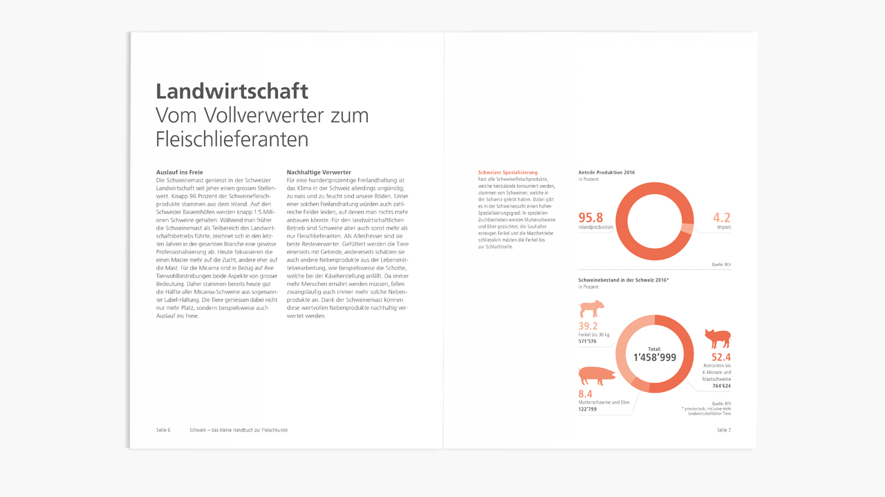 adart_micarna_fleischkunde_schwein_3